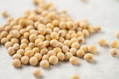 減肥　大豆（ゆきほまれ）