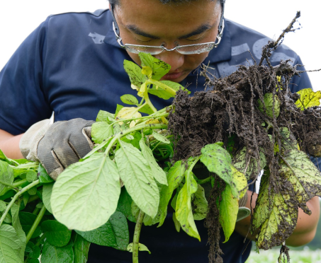 セクション画像