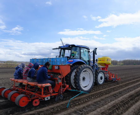 セクション画像